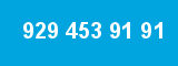 929 453 91 91 929 453 91 91